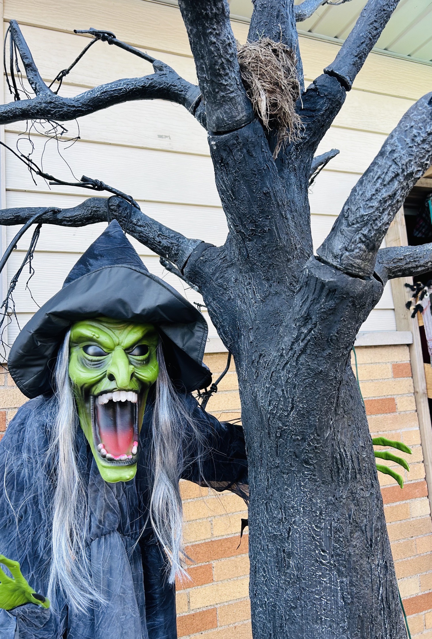 Haggerty’s Haunt On Hipple
