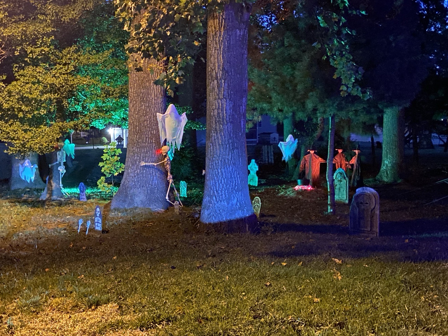 Mayapple Haunted Forest