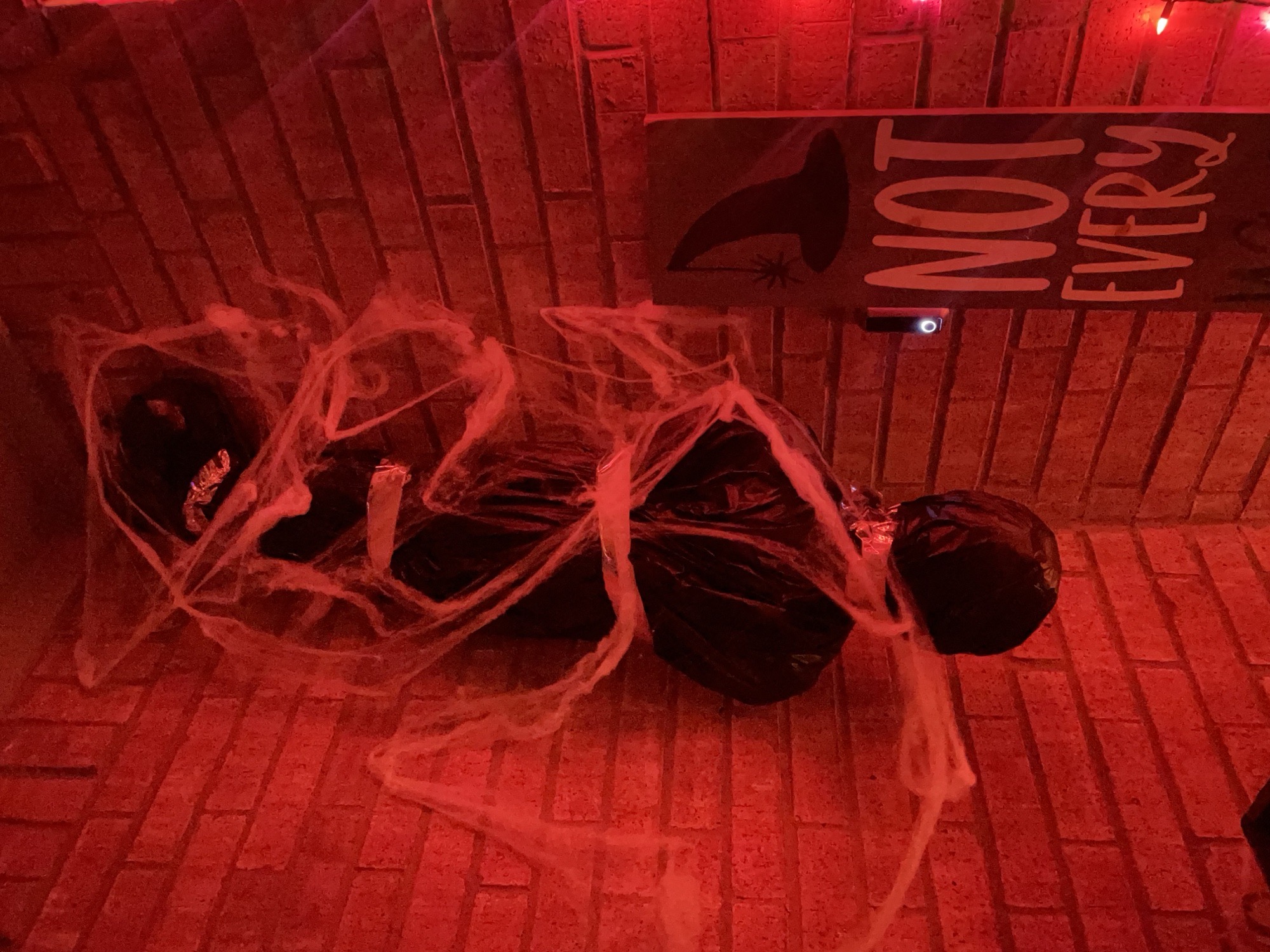 The Spiders Layer