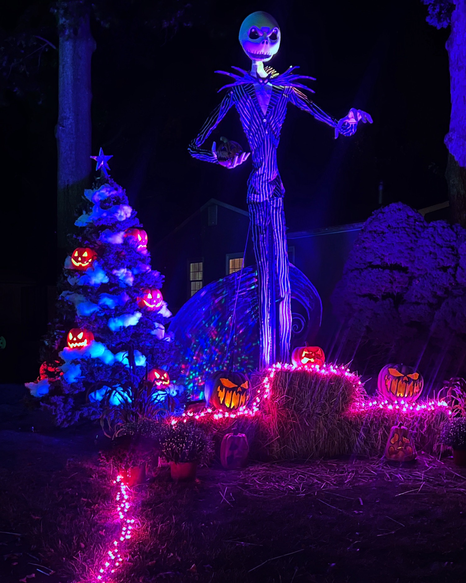 Berkeley’s Nightmare Before Christmas
