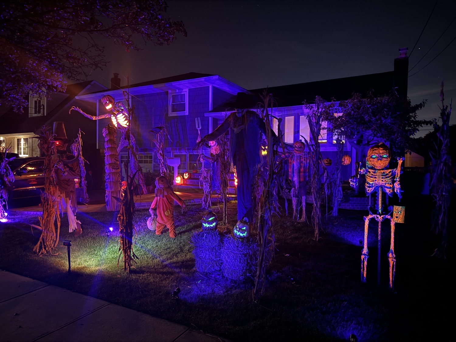 Haunted Corn Field