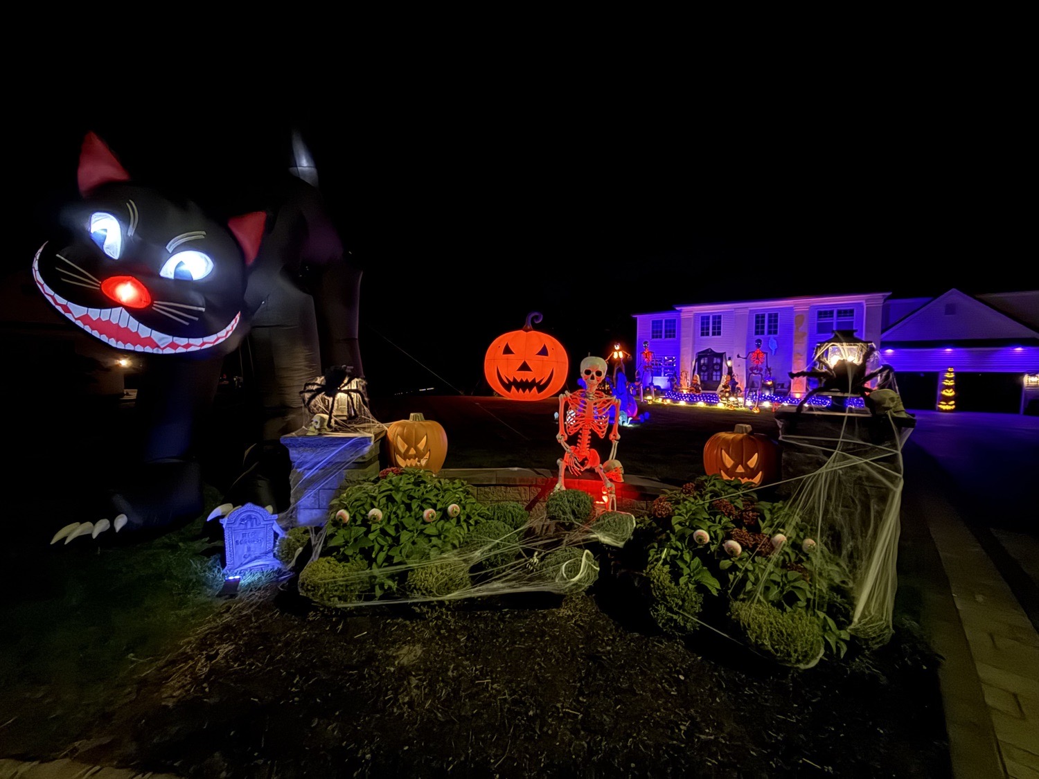 The Giant Pumpkin