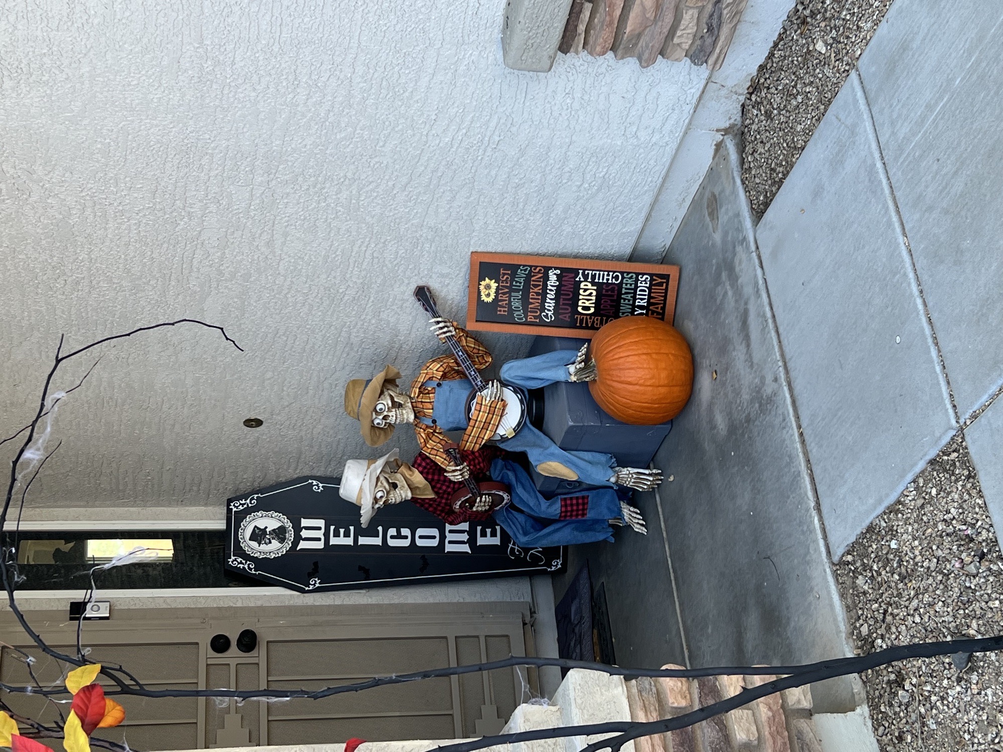 S&S Halloween House