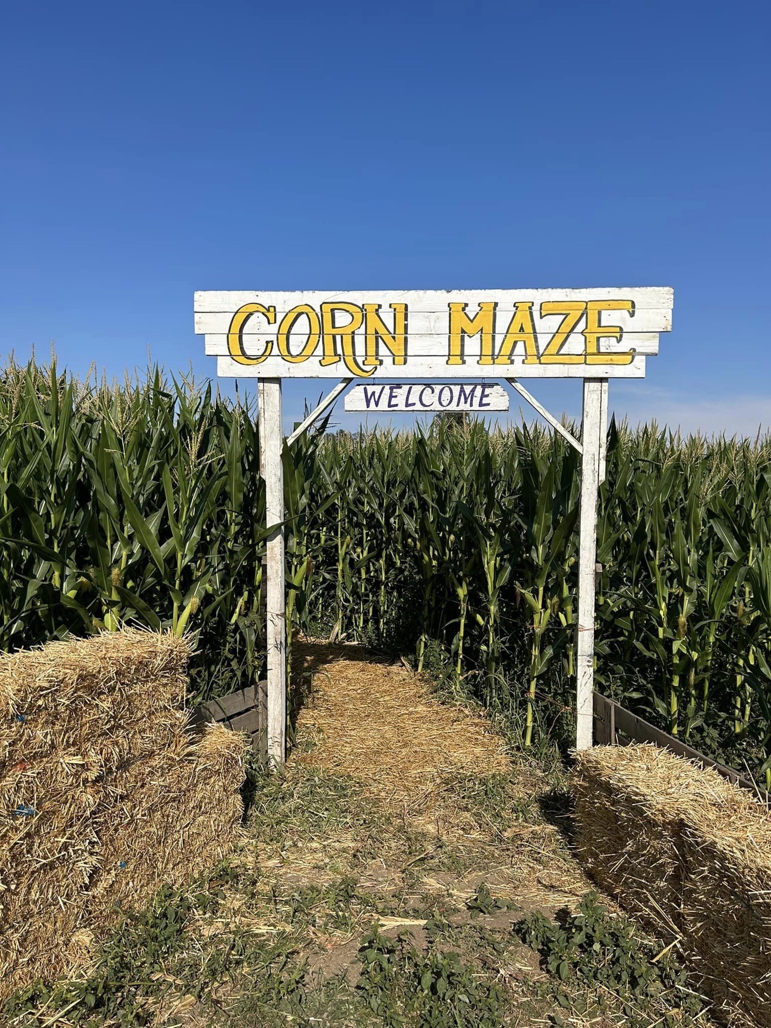 Haunted Corn Maze