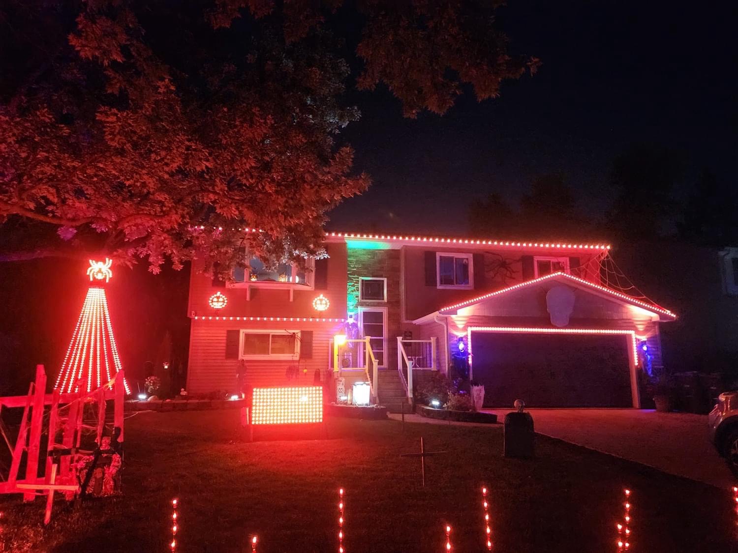 Lights On Tudor Ave