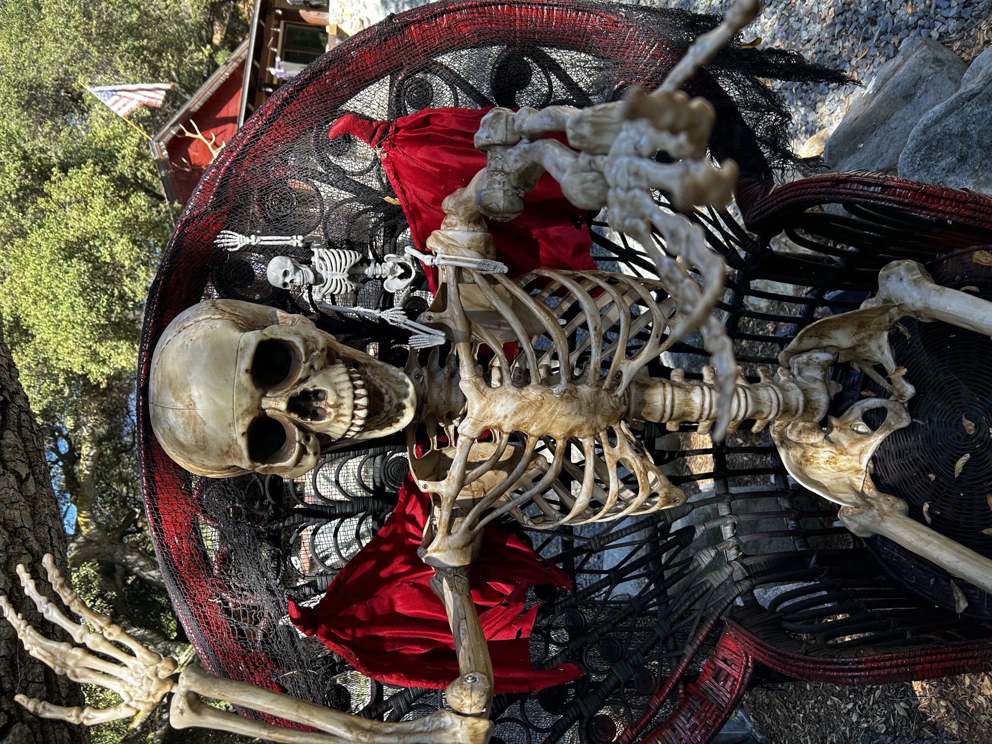 The Bone Yard