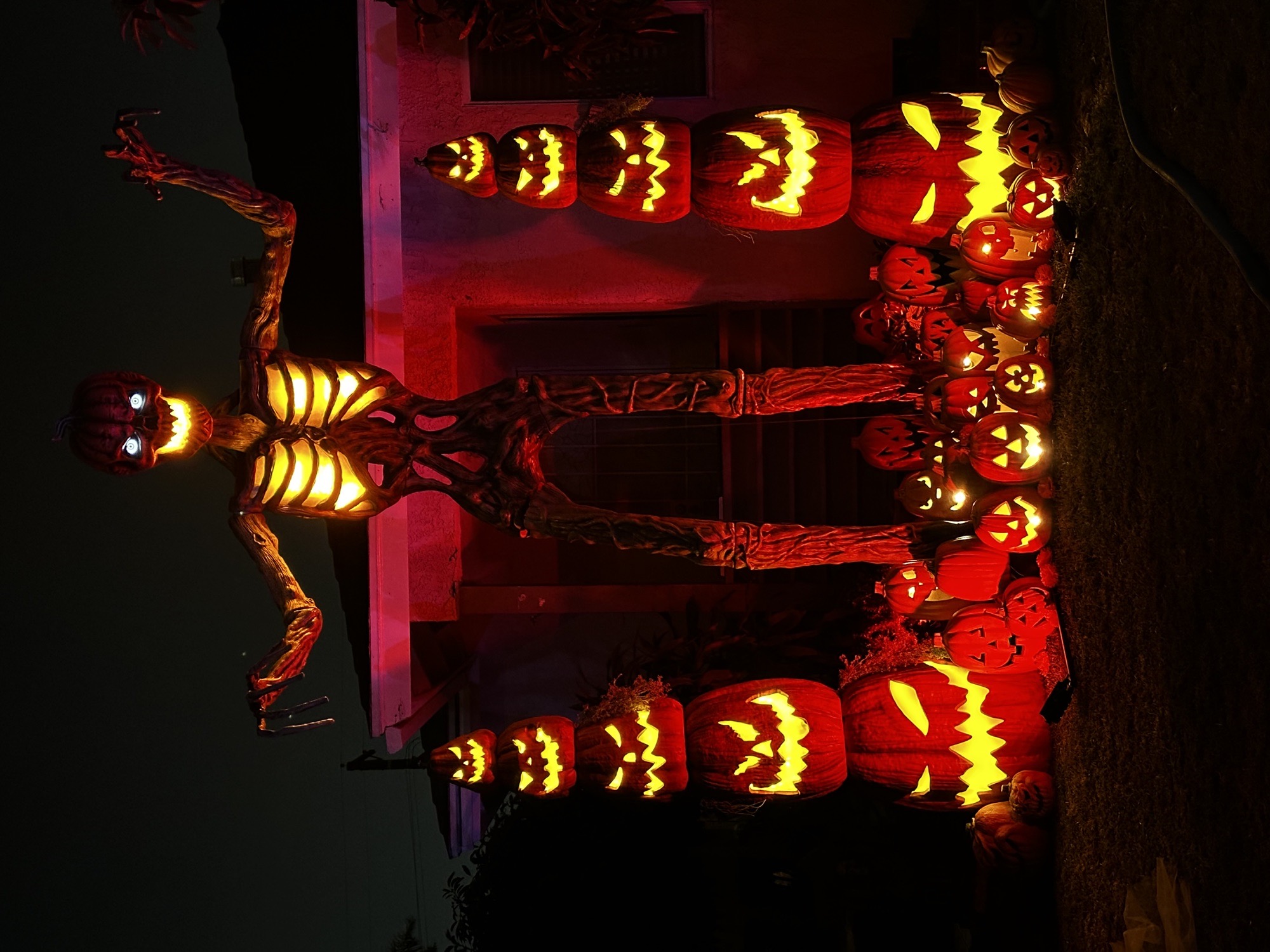 Dia De Lo Muertos