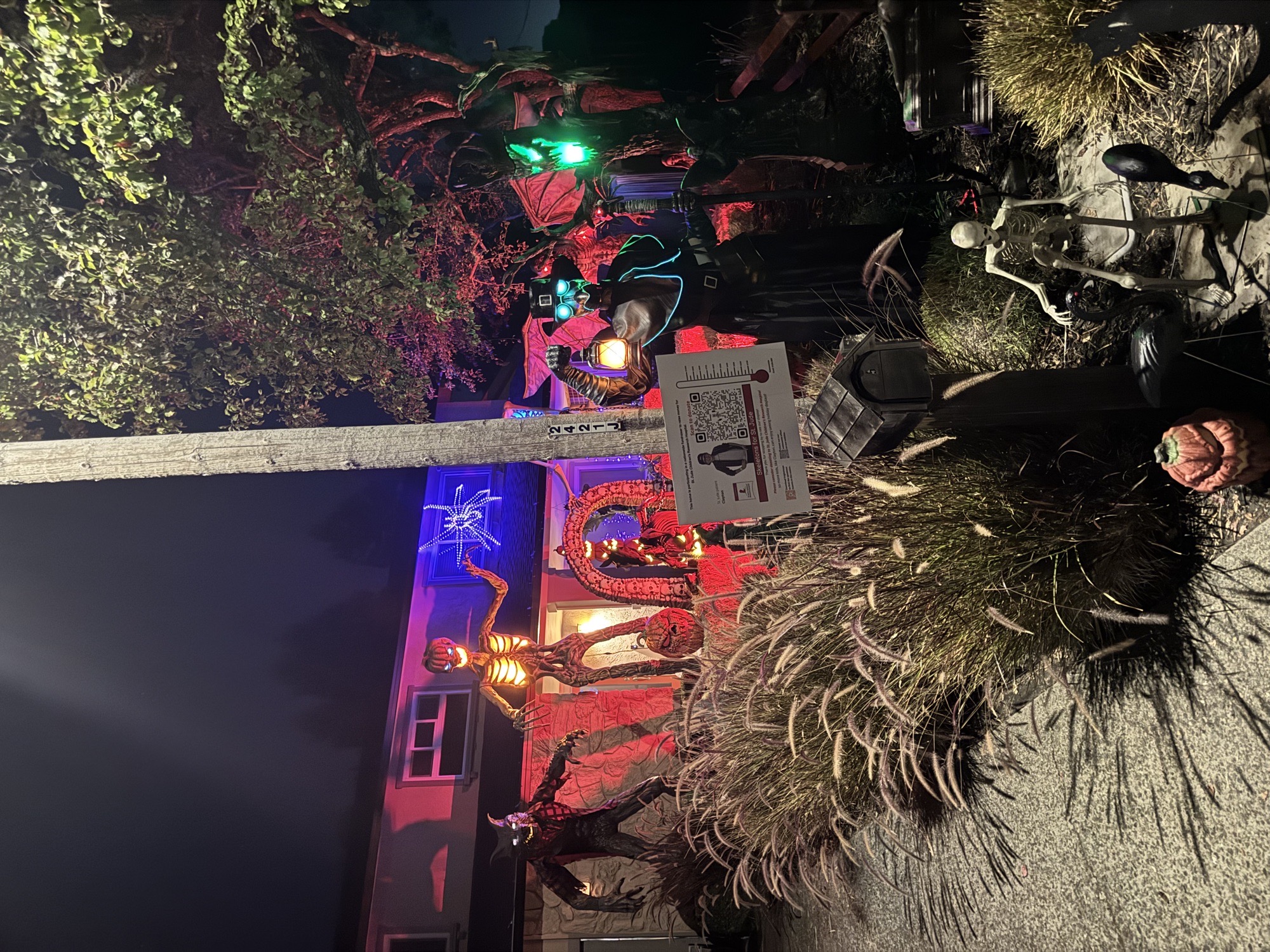 Hardly Any Hens Haunted Micro Homestead