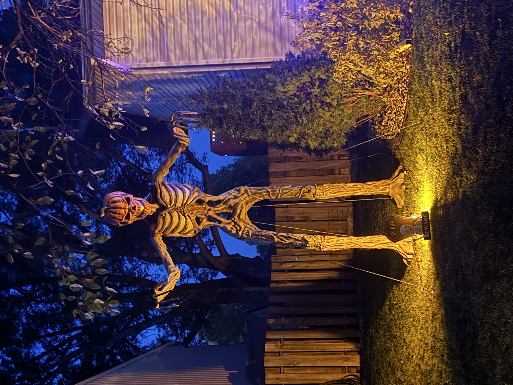 The Boneyard At B3