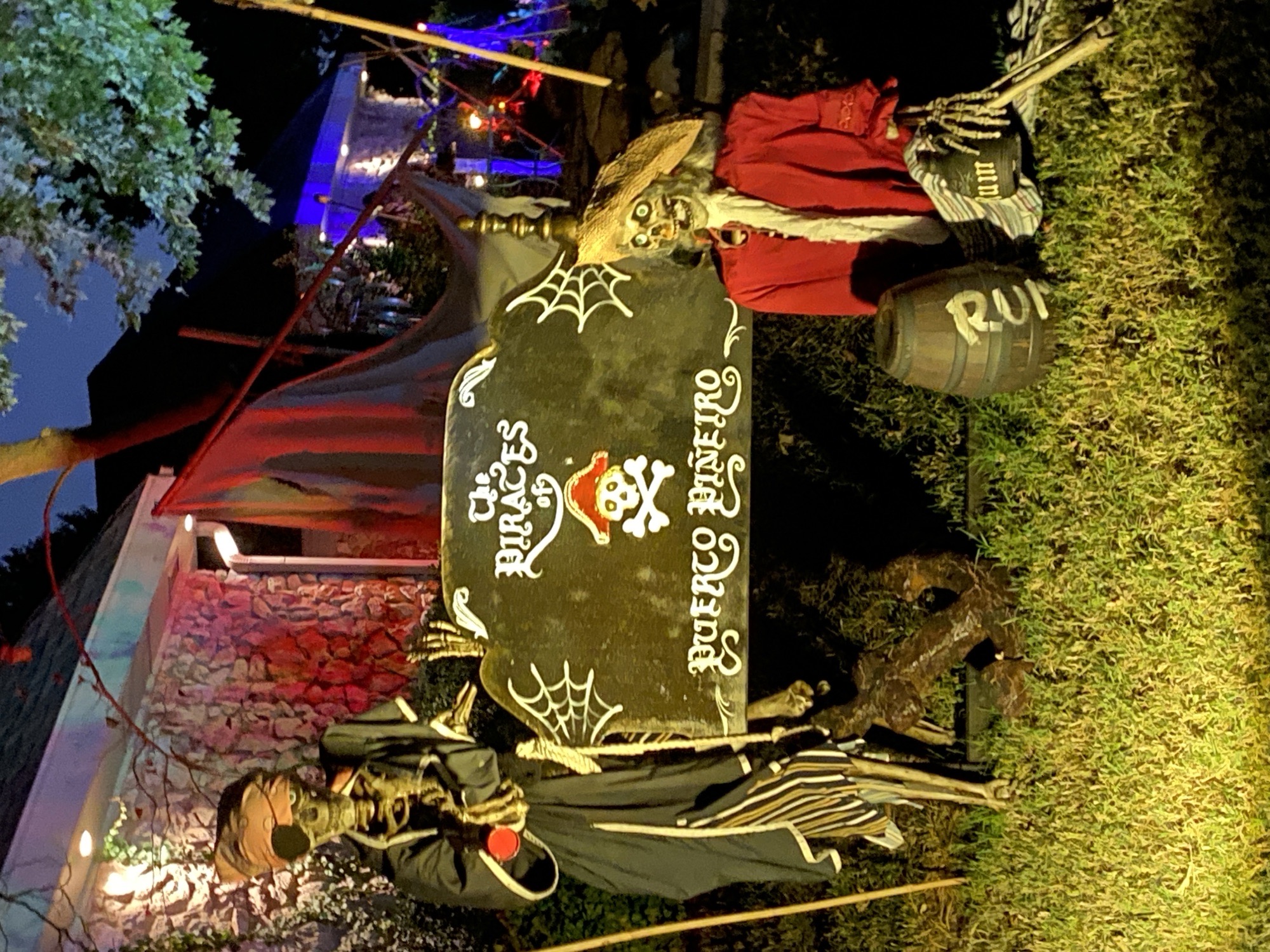 The Pirates Of Puerto Piñeiro