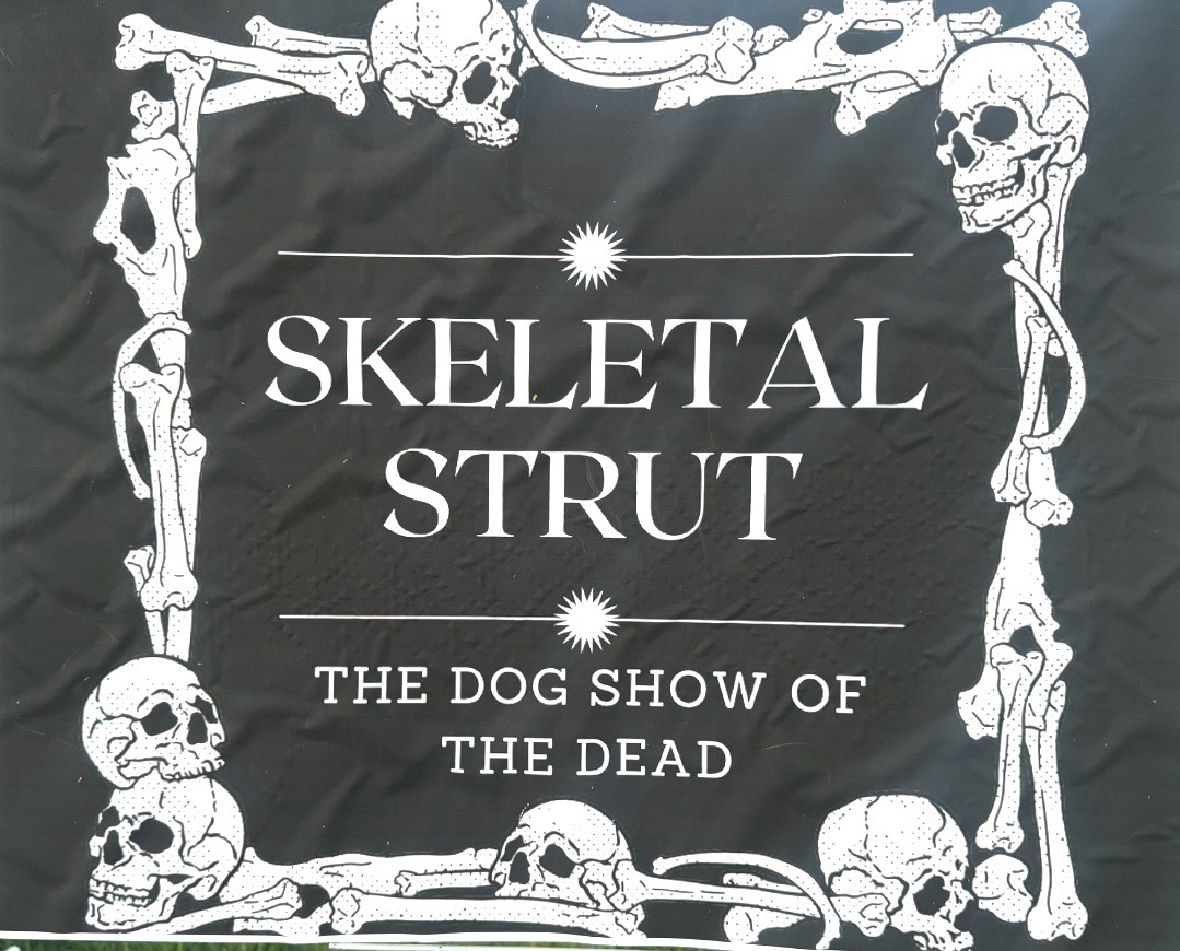 Skeletal Strut