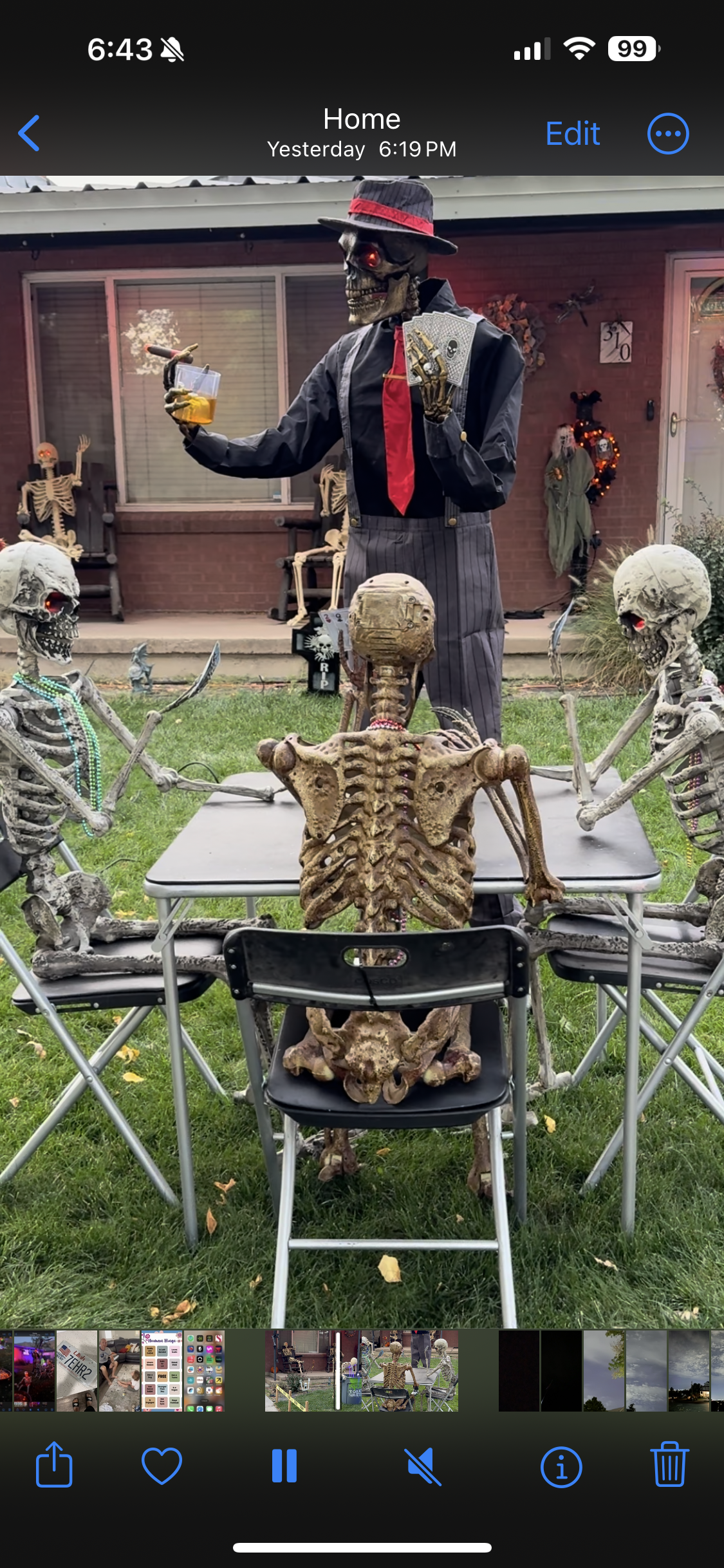 Bones After Dark