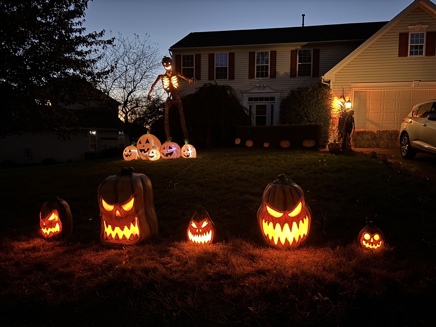 Pumpkin Patch