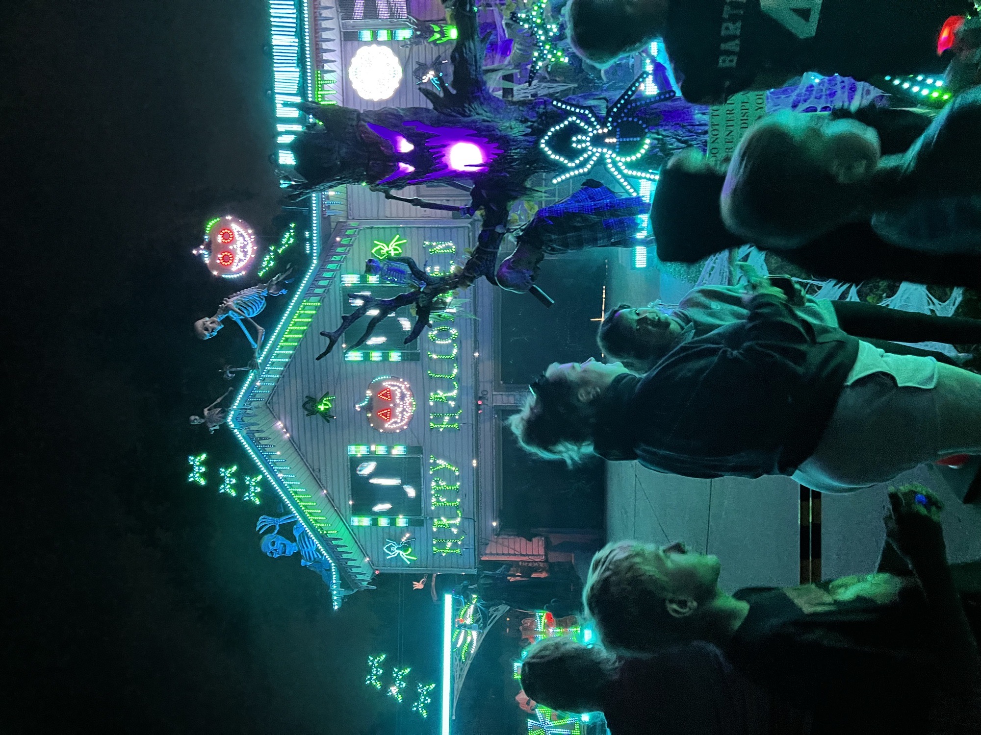 Boxwood Light show