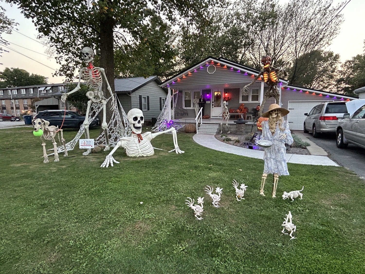 Skeletons On N West Street 💀