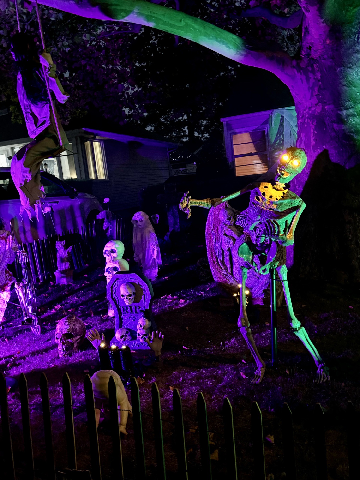 Brancato’s Boneyard