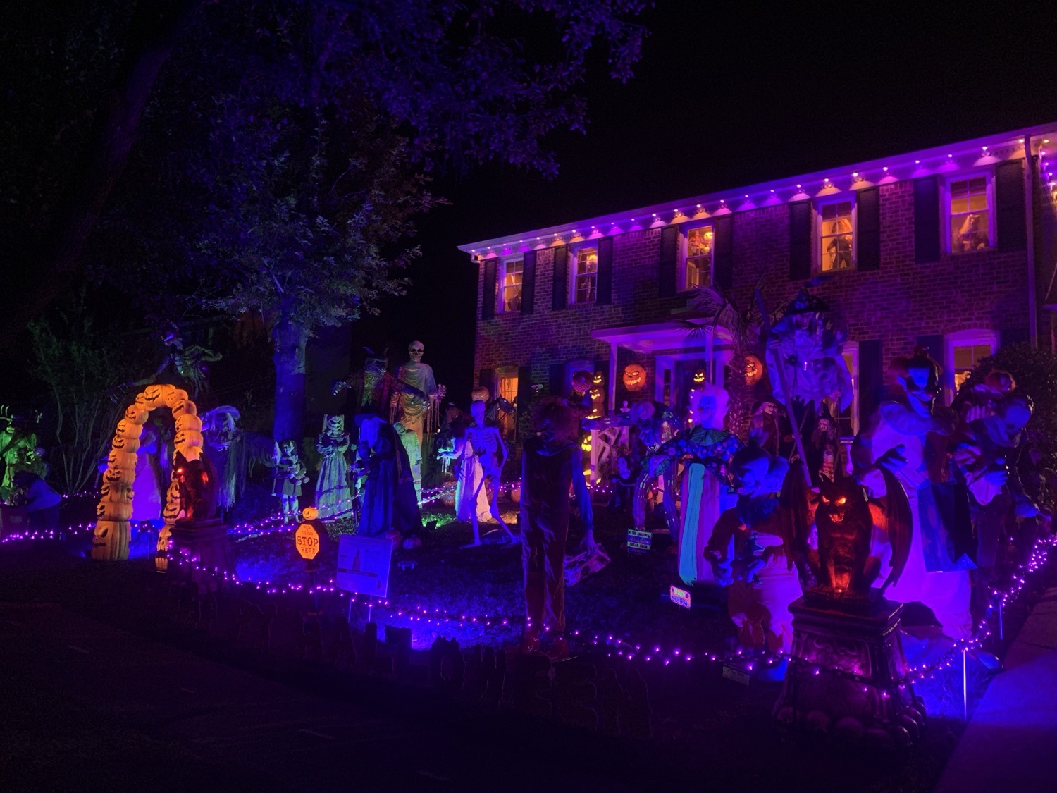 The Pumpkin Kings Pad