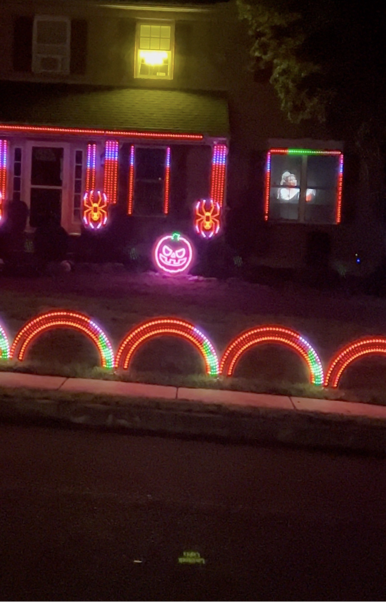 Loyalsock Lights