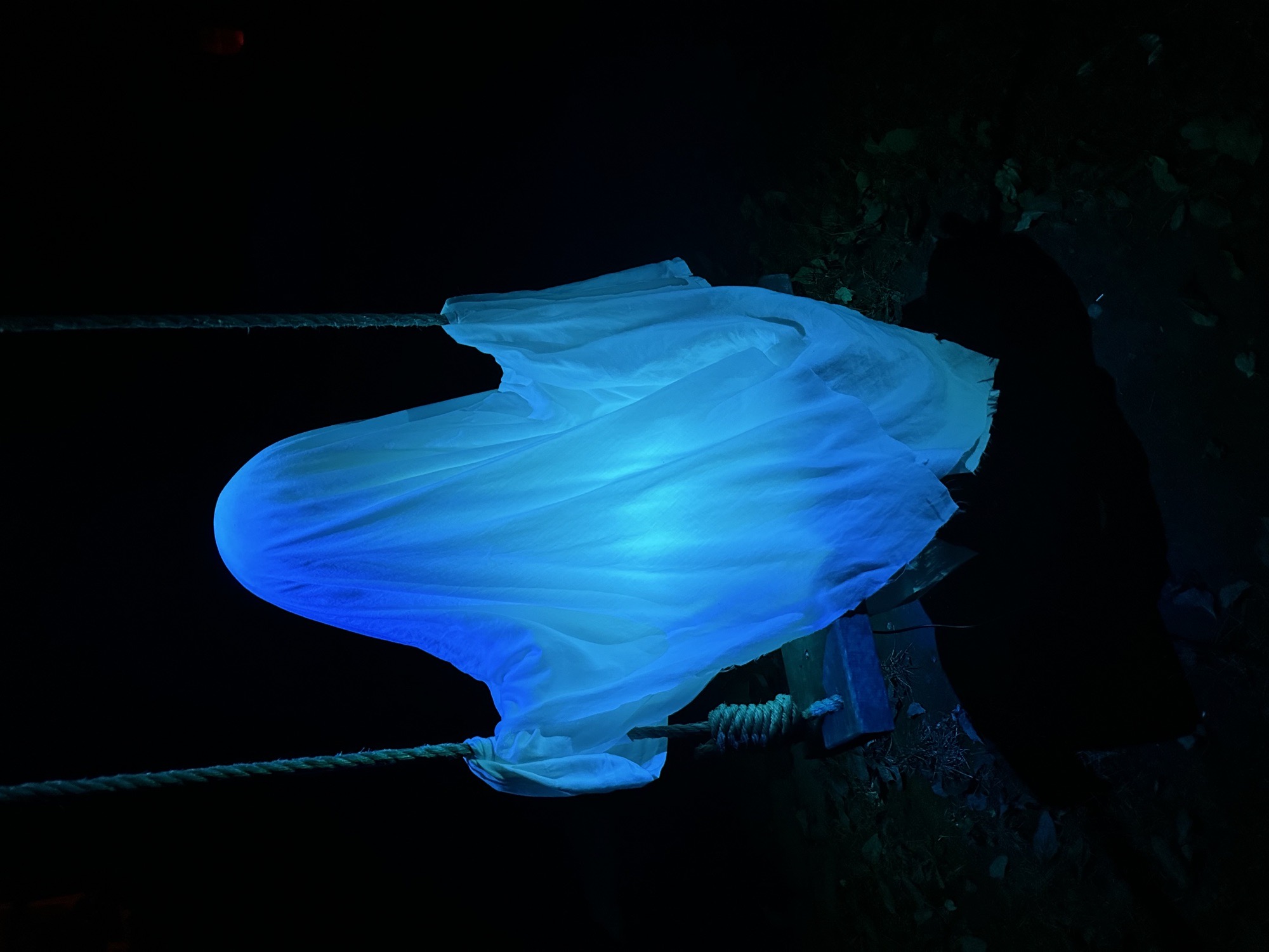 Little Lonely Ghost