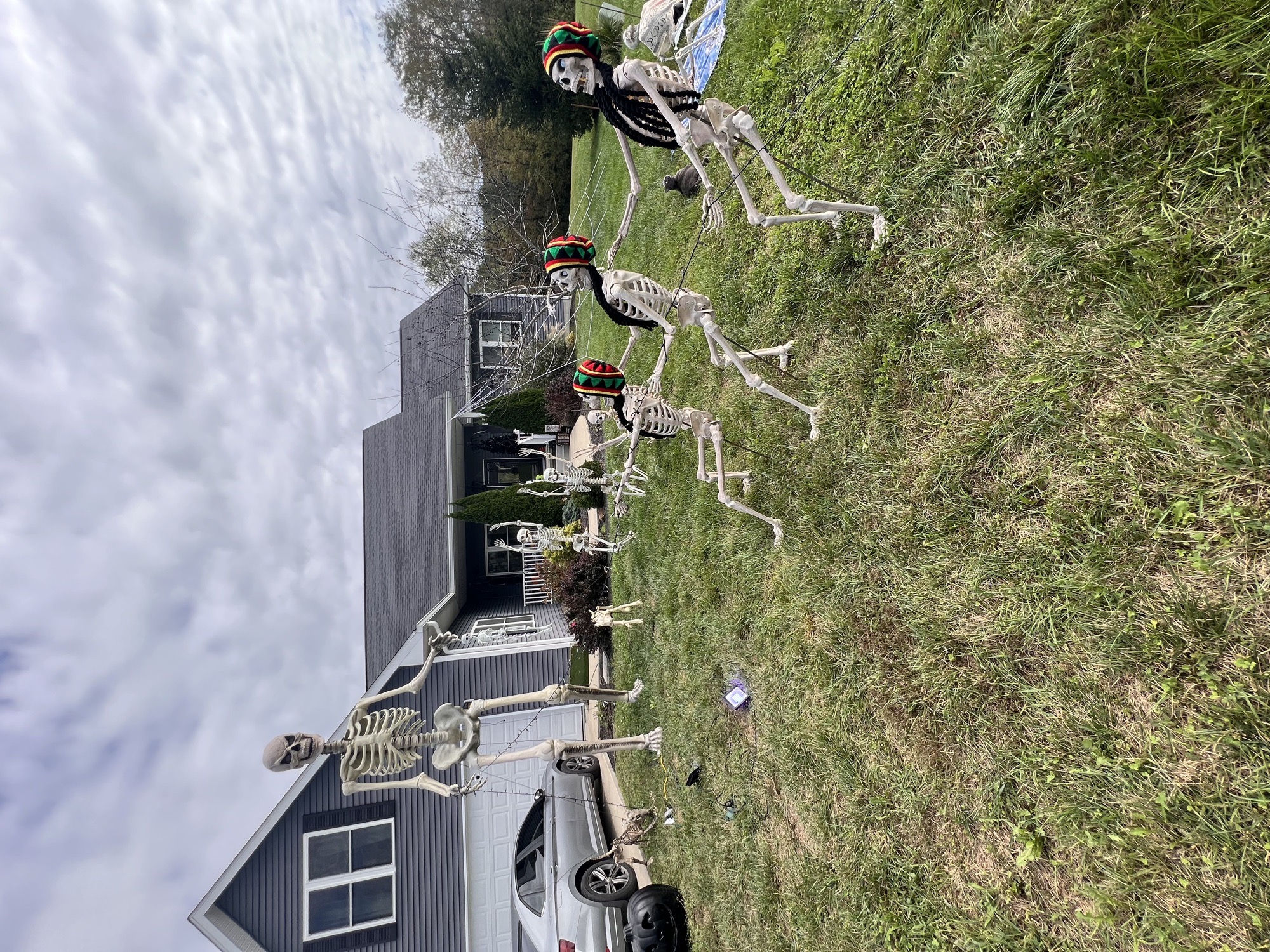 Skelly’s at Knotting Hill