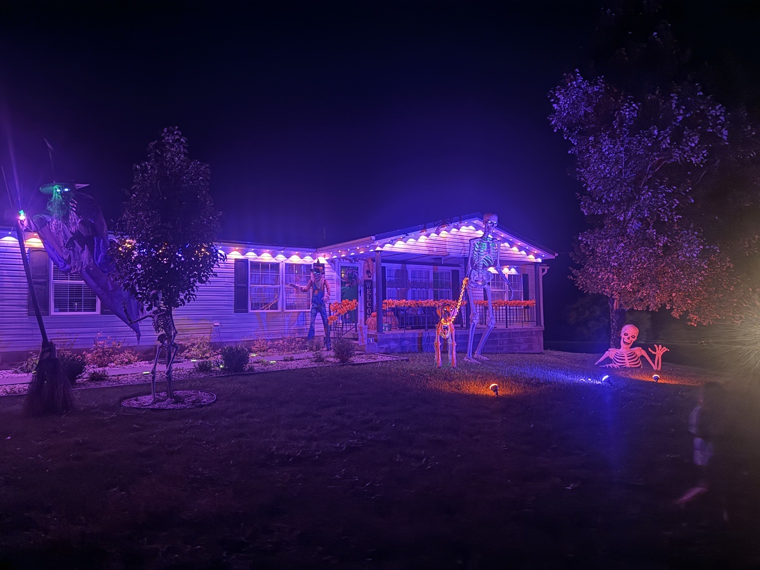 Skelly House
