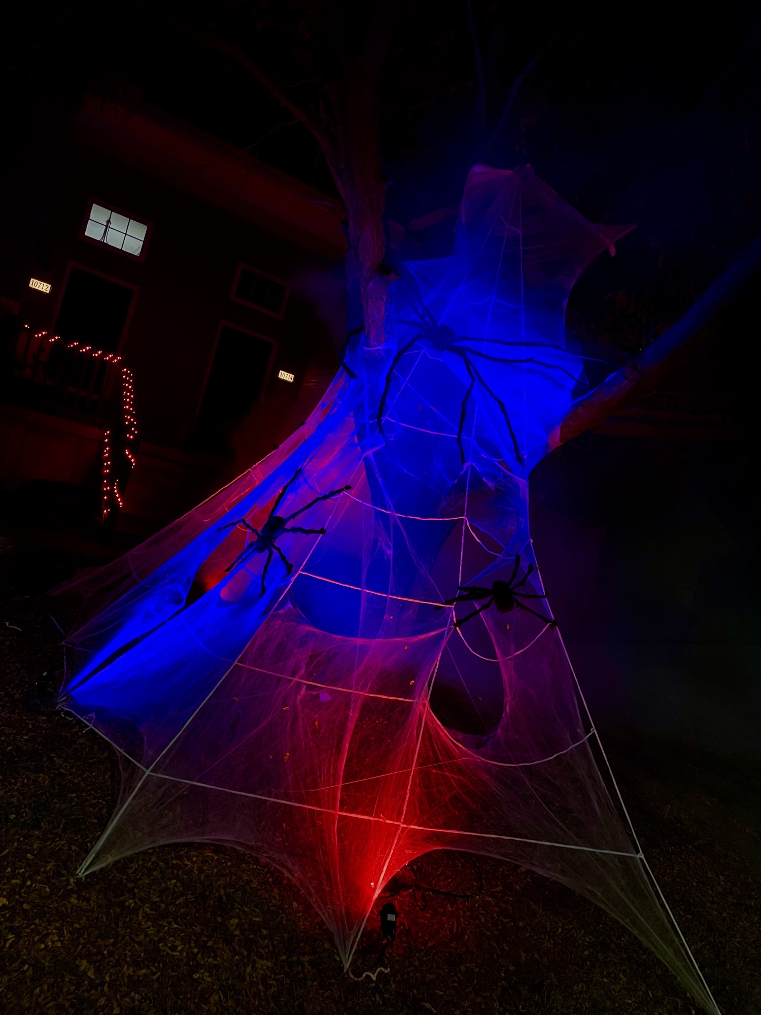 Spider house