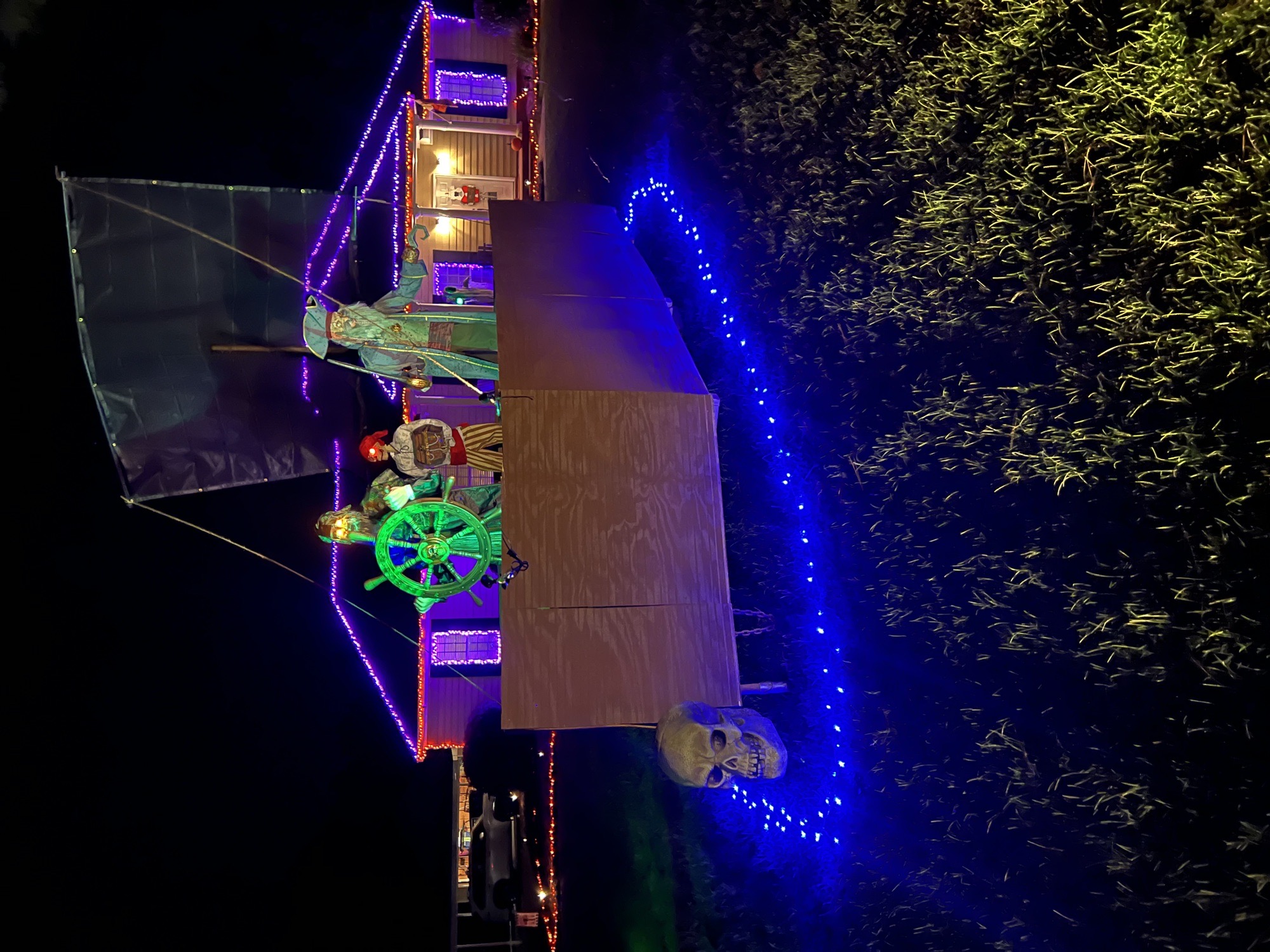 Mr Boo’s Bone Yard