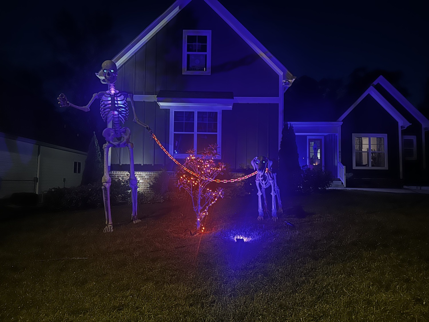 Skelly & His Dog