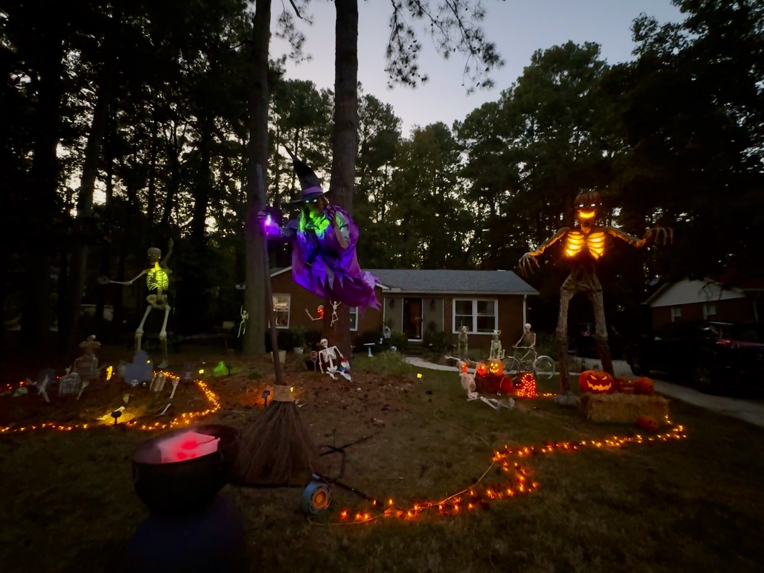 Spooky Gardens