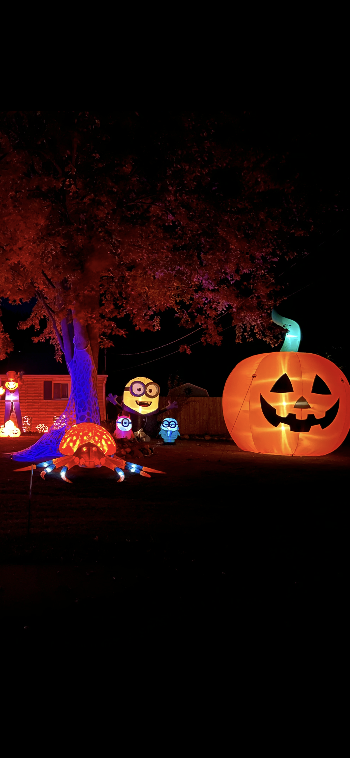 Halloween Fun
