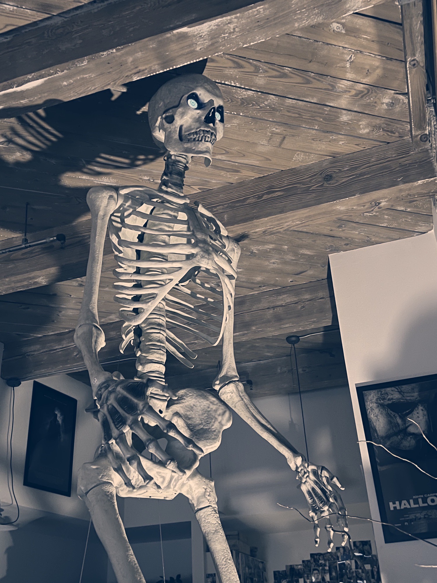 12 Foot Skeleton Apartment