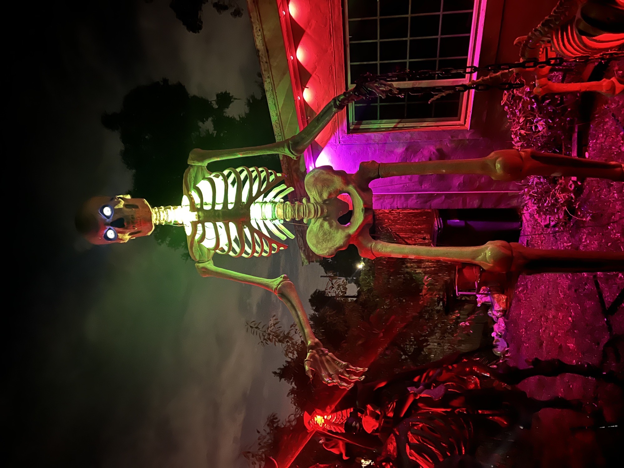Nizzles house of horror