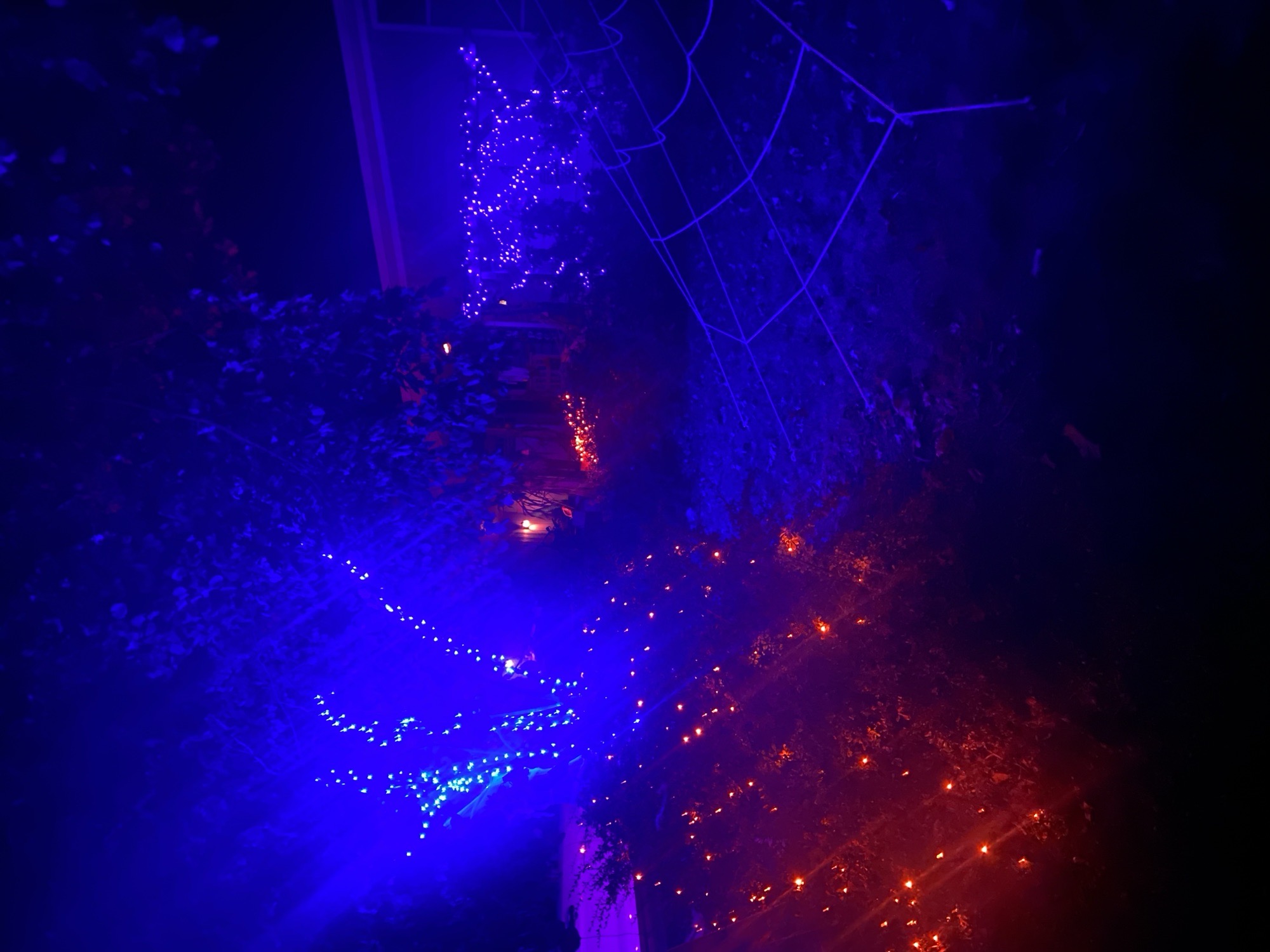 Fright House Of F Avenue