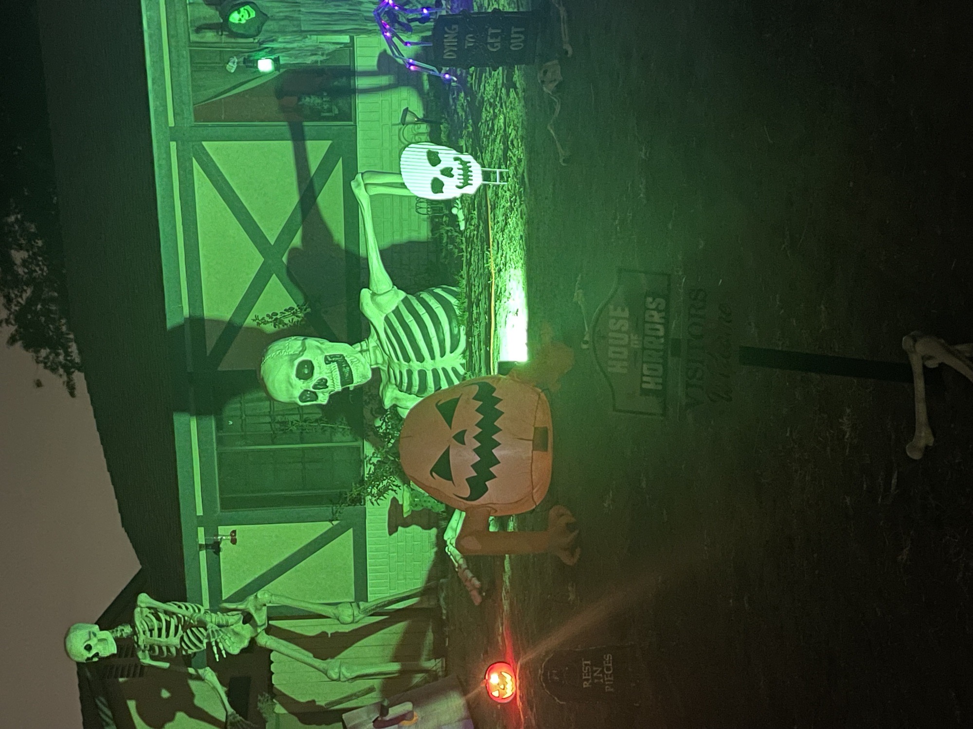 Skelly House