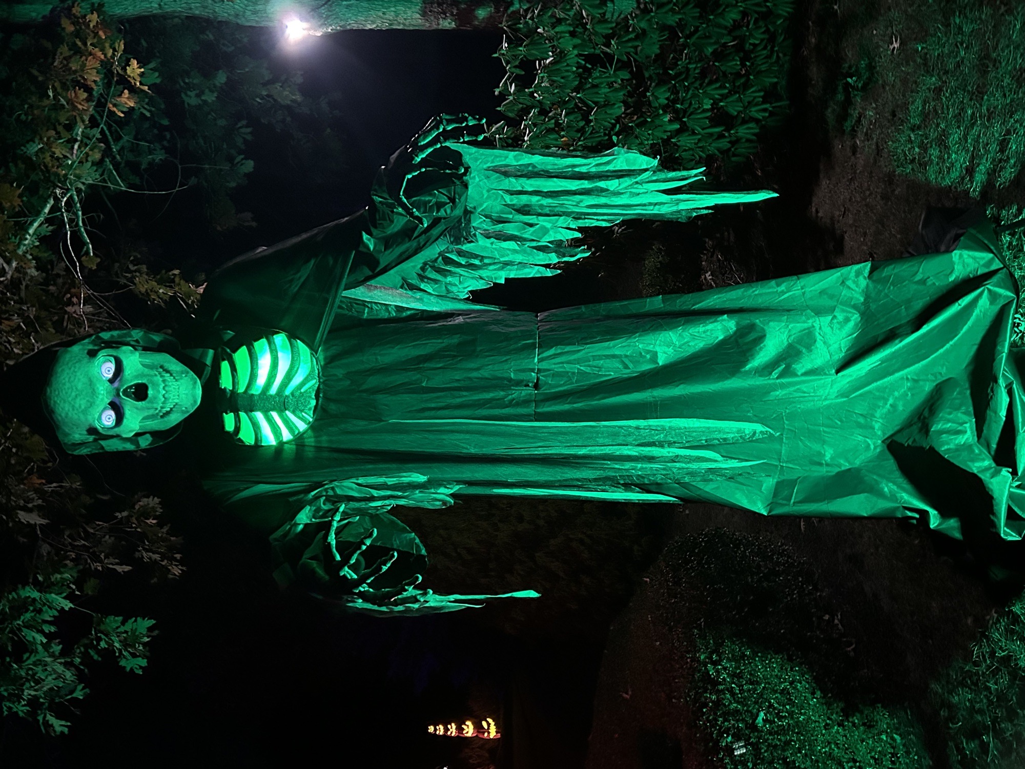 Haunts on Curran