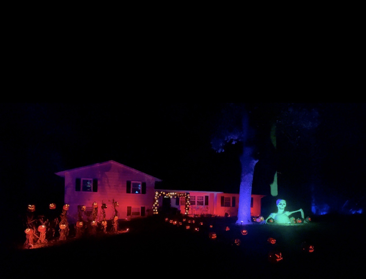 Halloween Light/Music Show