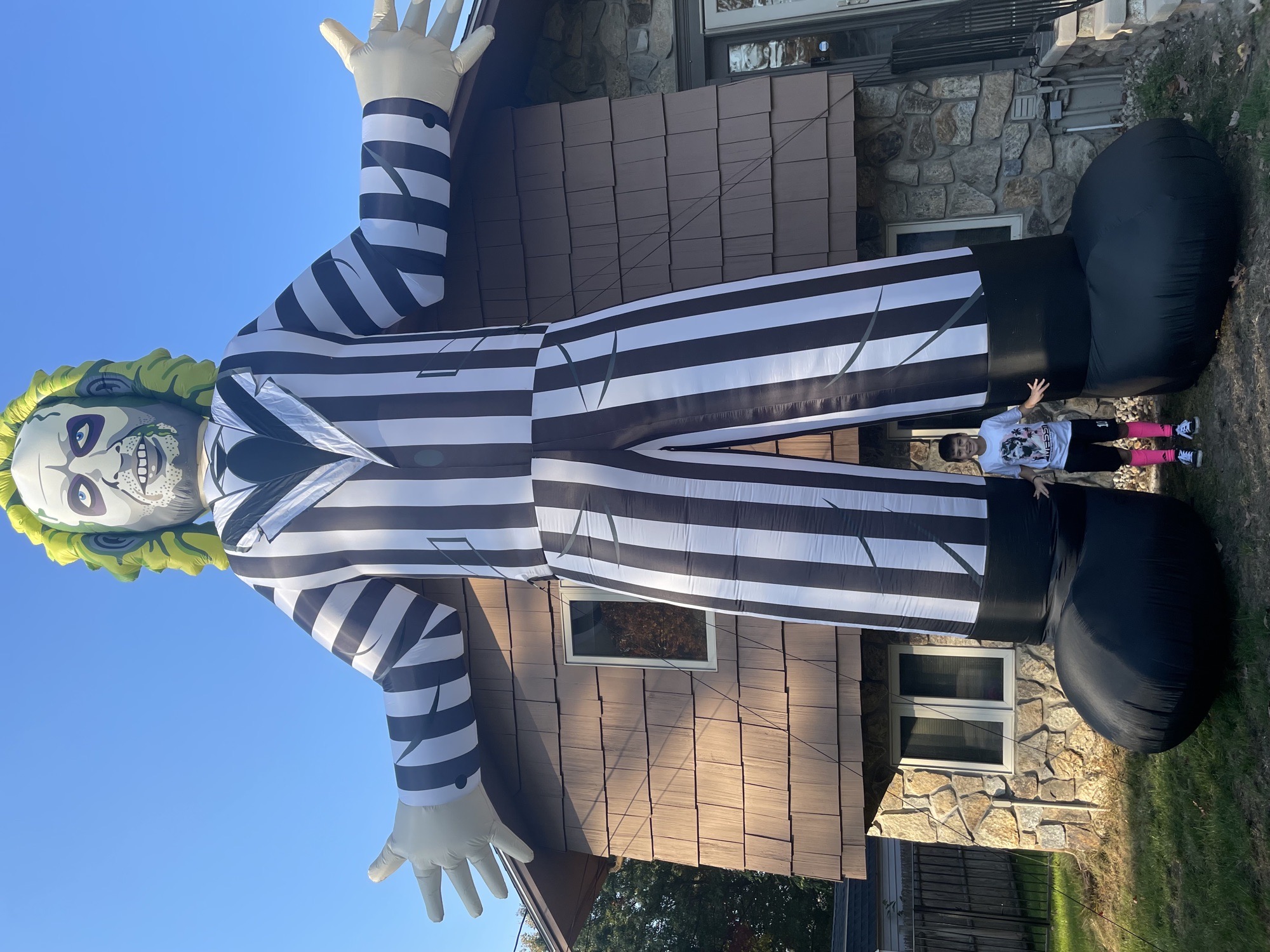 Beetle Juice - Beetle Juice
