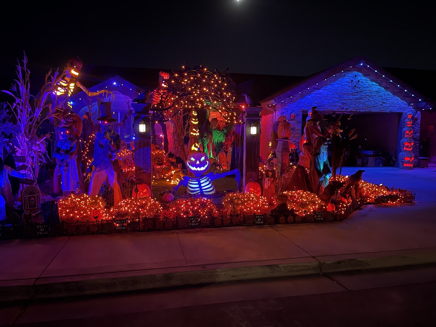 Pumpkin Patch Of Evil