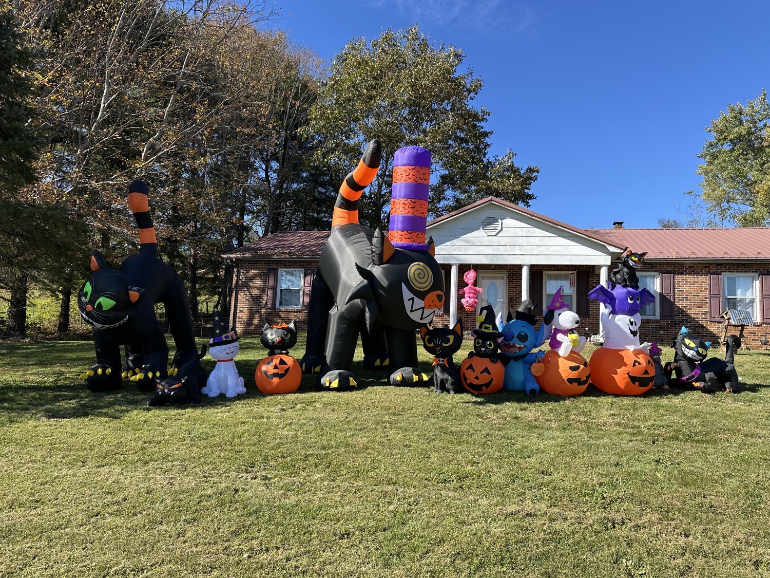 Critter Mayhem