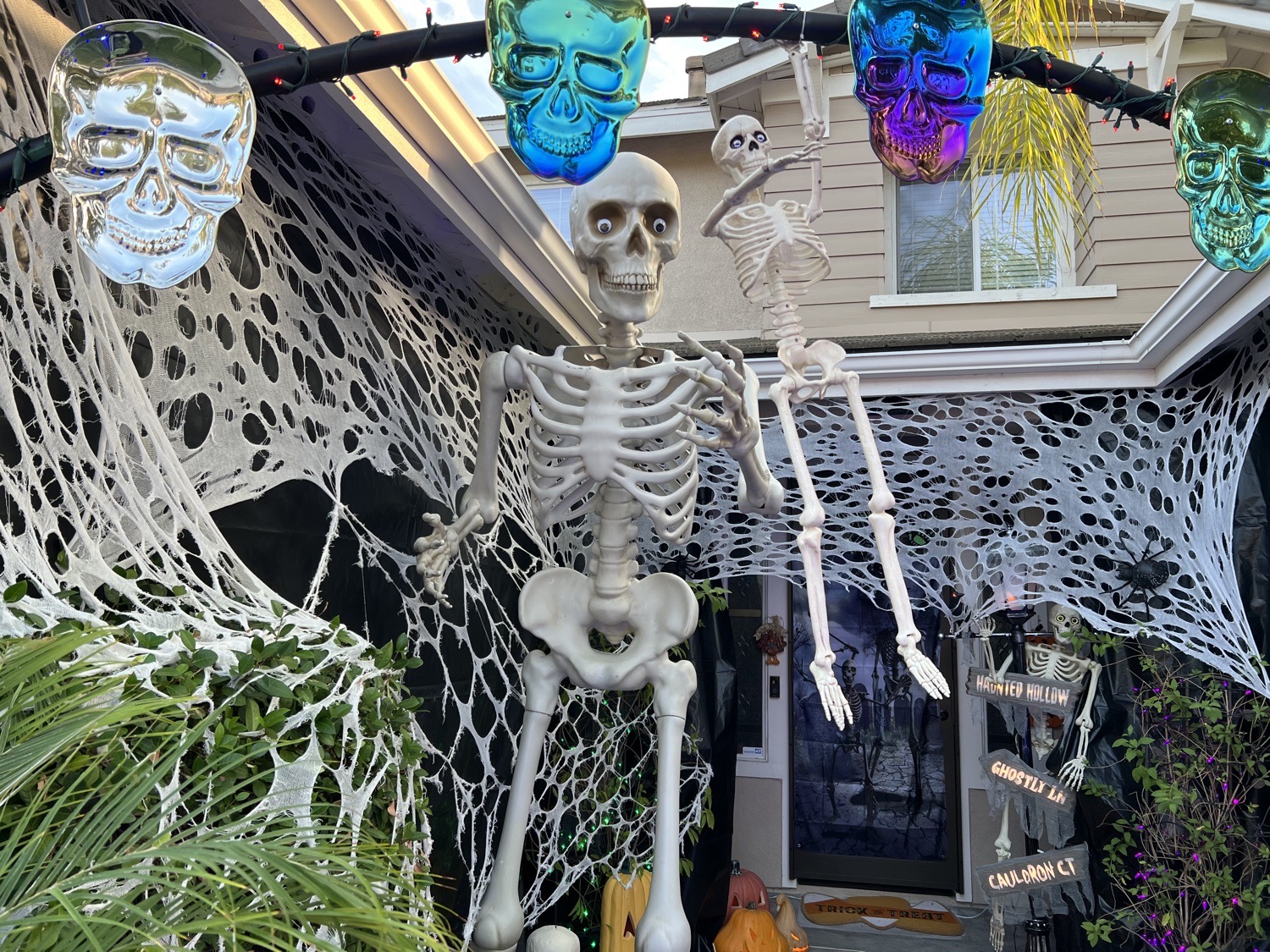 Skeletons Gone Wild