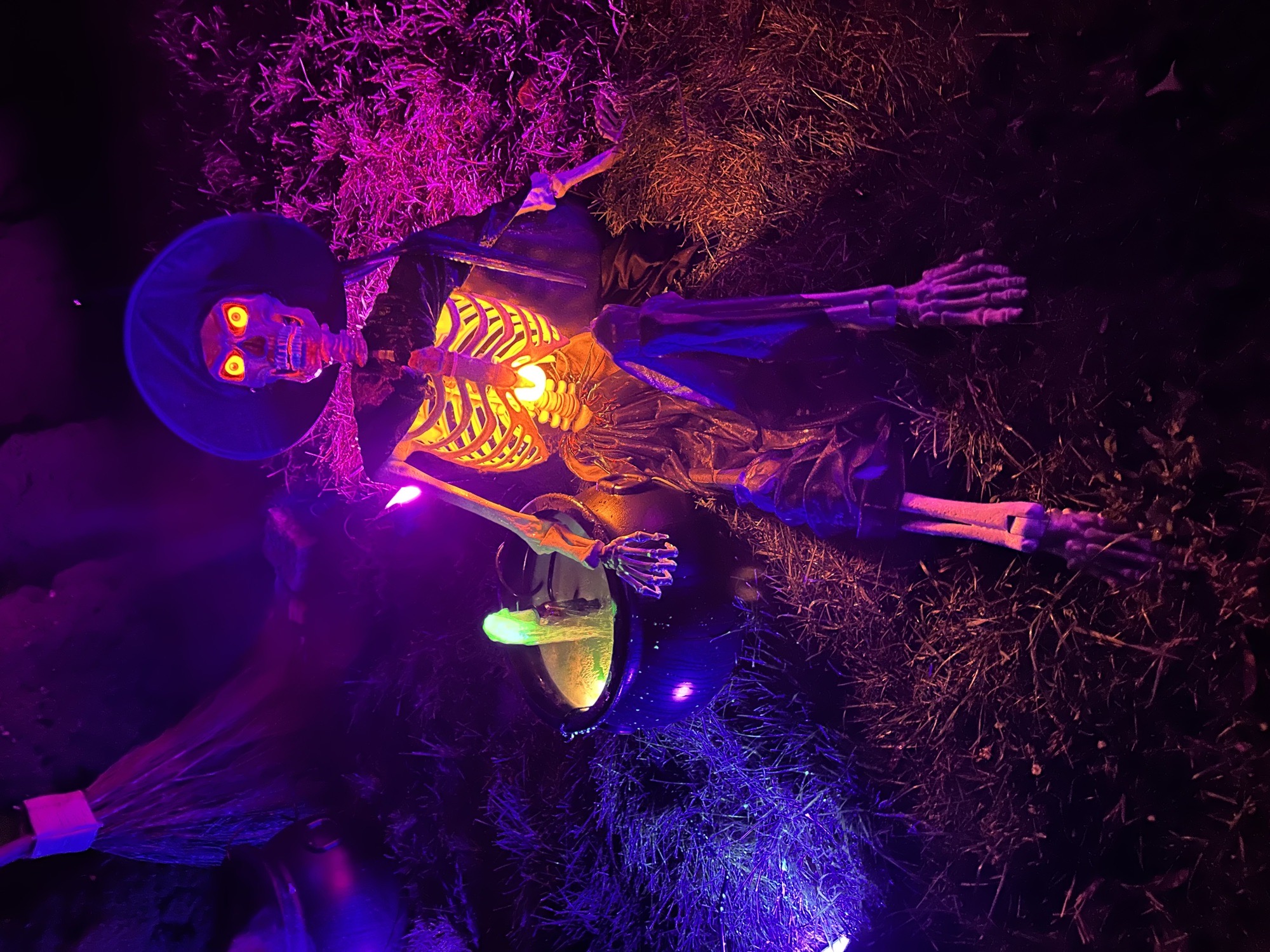 Witches Of Woodhall