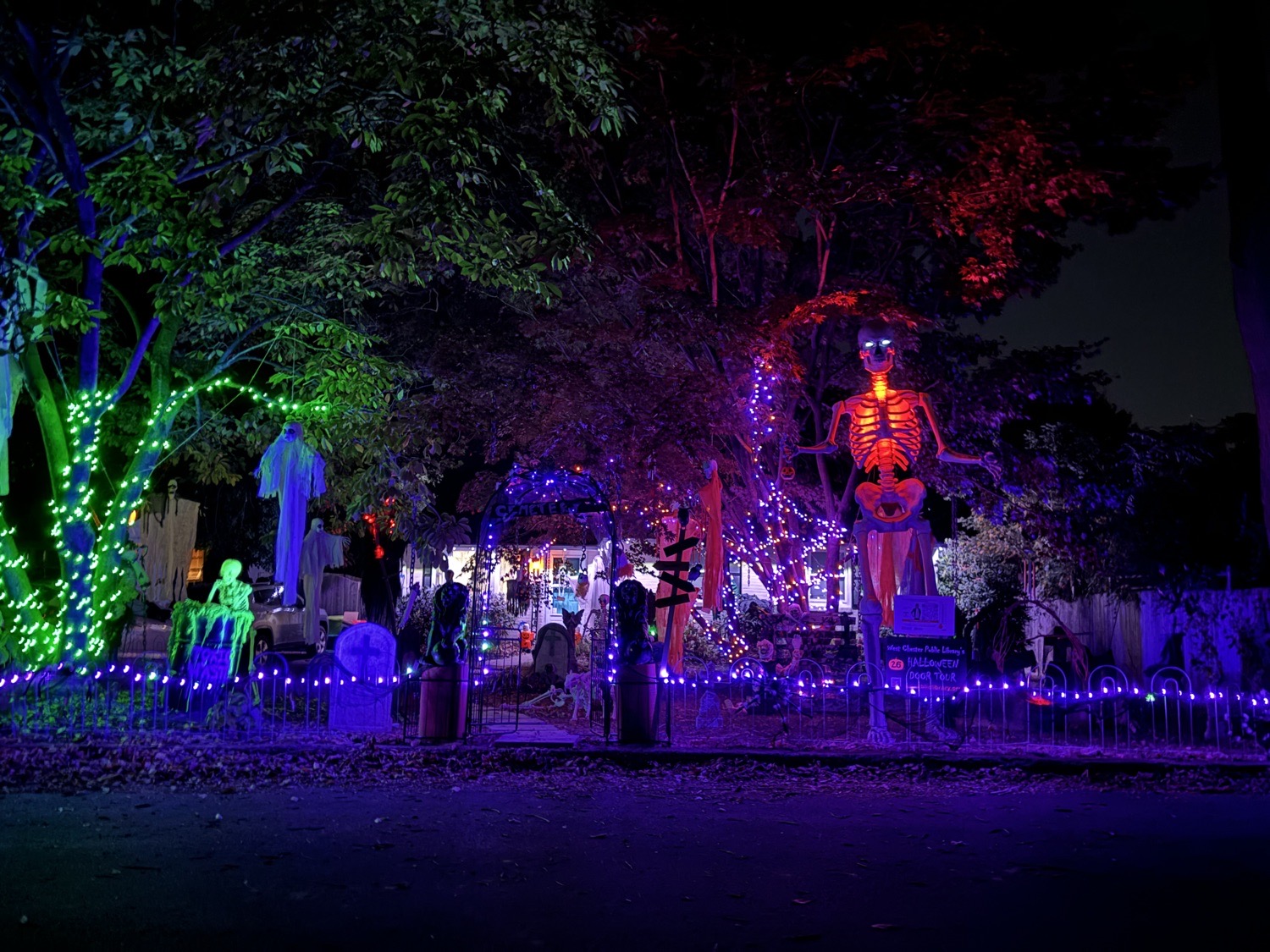 The Skeleton House