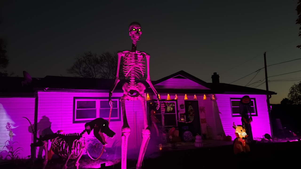 12 Foot Skelly Halloween