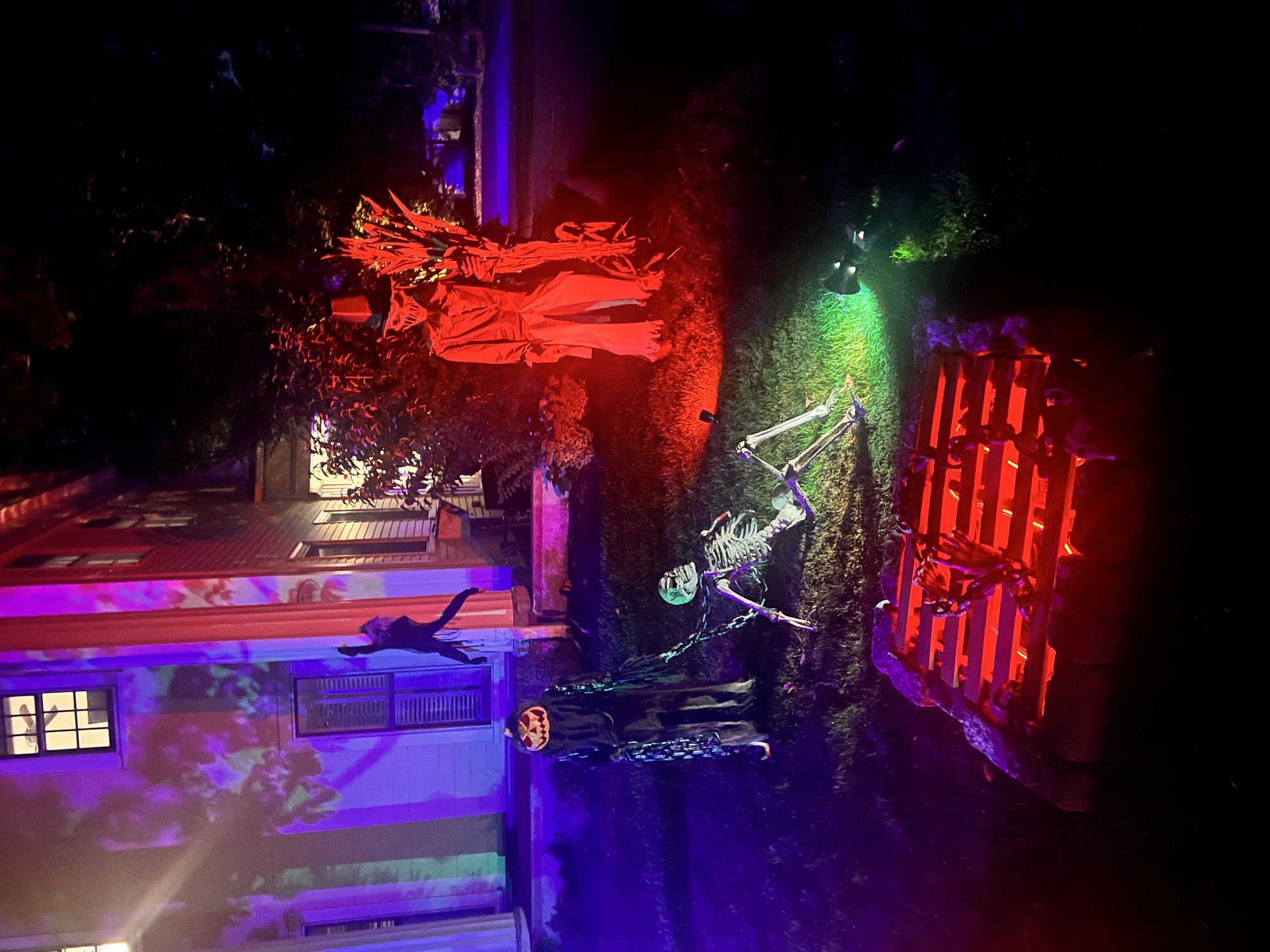 Dungeons and Bones