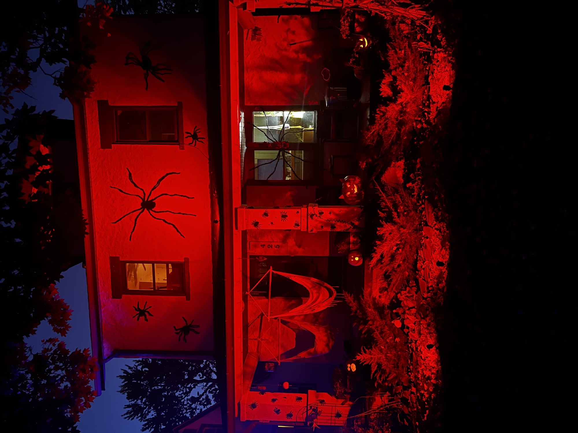 House Of 1,000 Legs