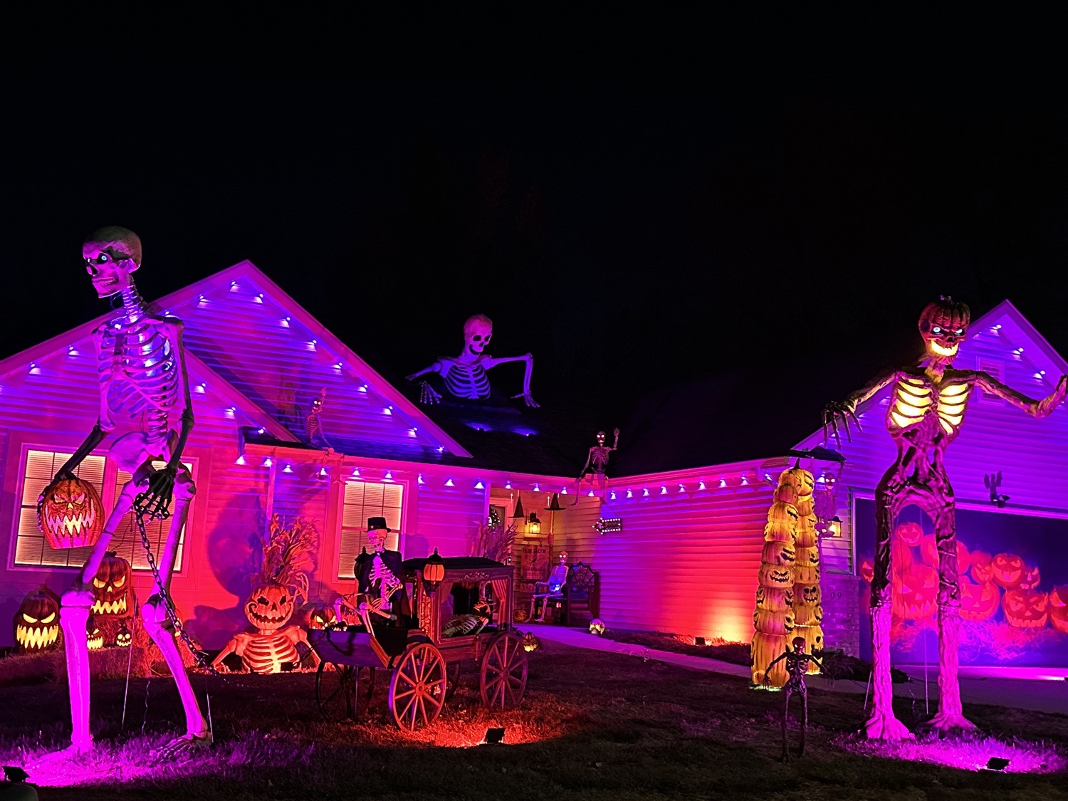 The Skeleton House