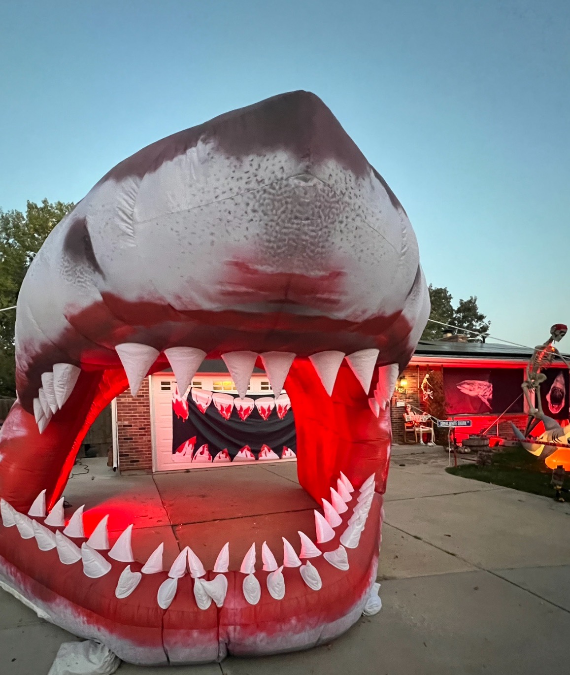 JAWS / SHARK HOUSE