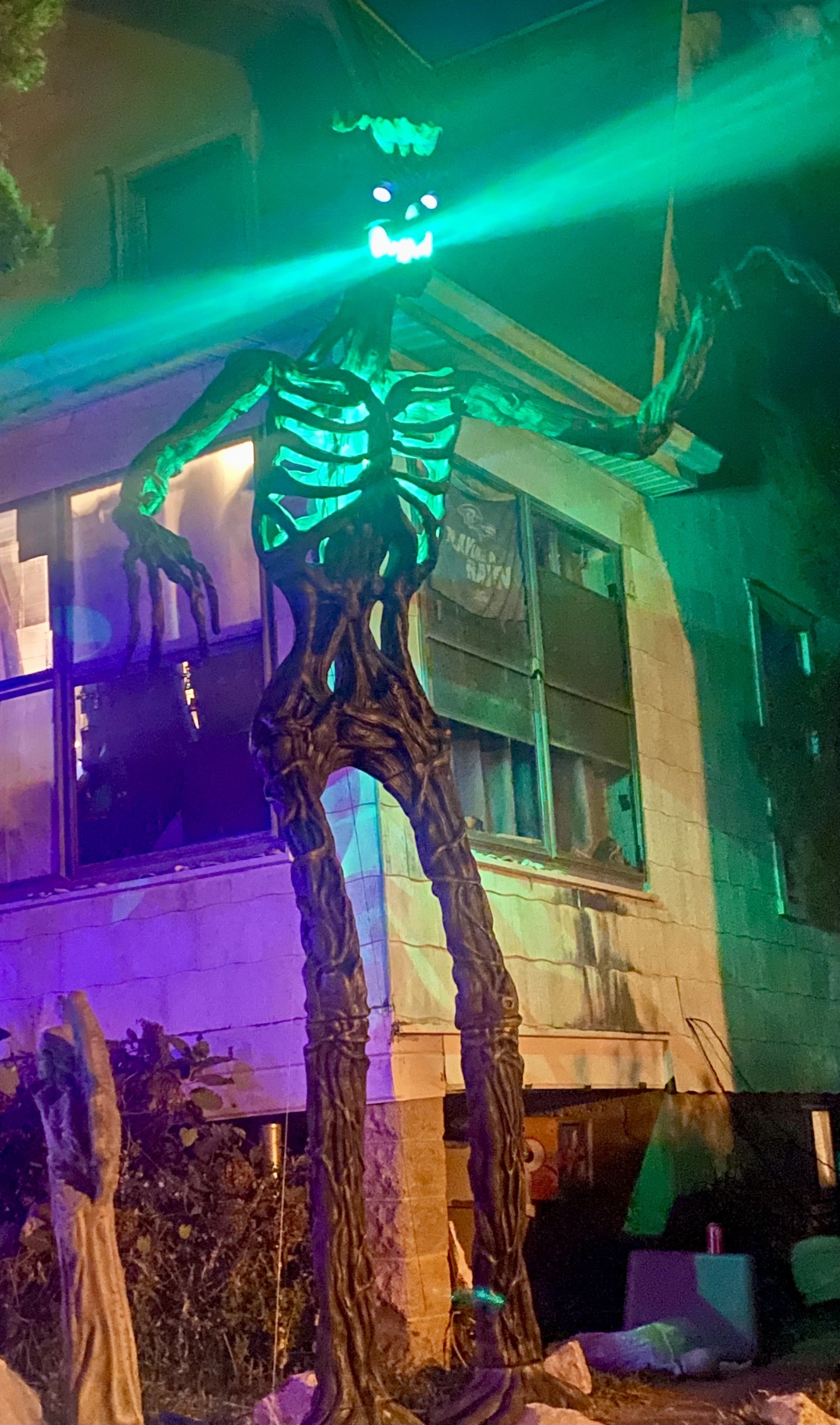 Zoltan’s Rosemont Graveyard
