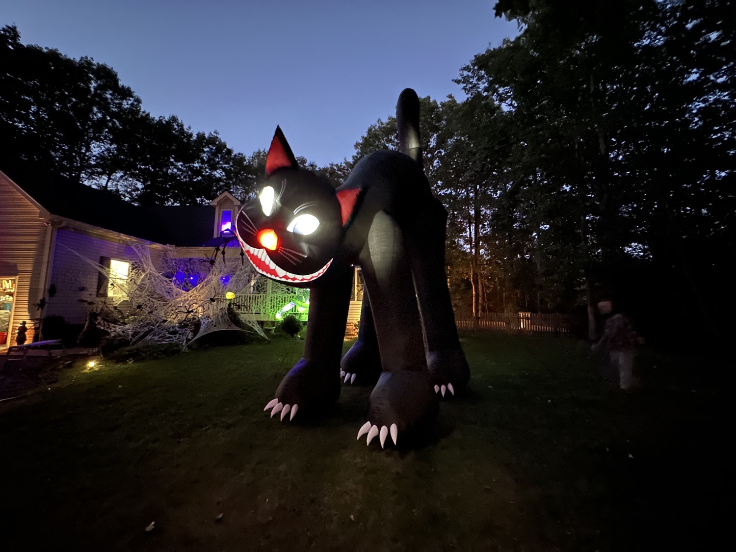 Haunted Woods Of Locust Hill