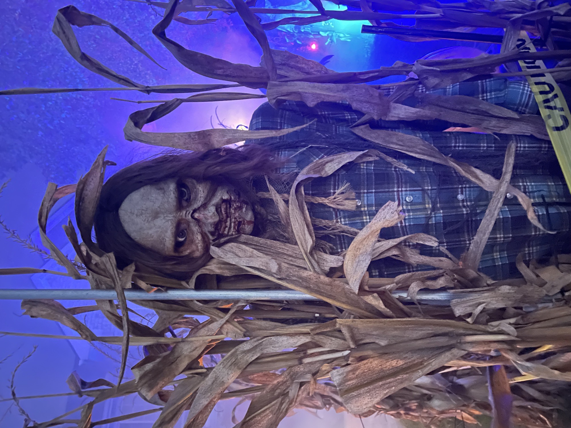Casualty Cornfield